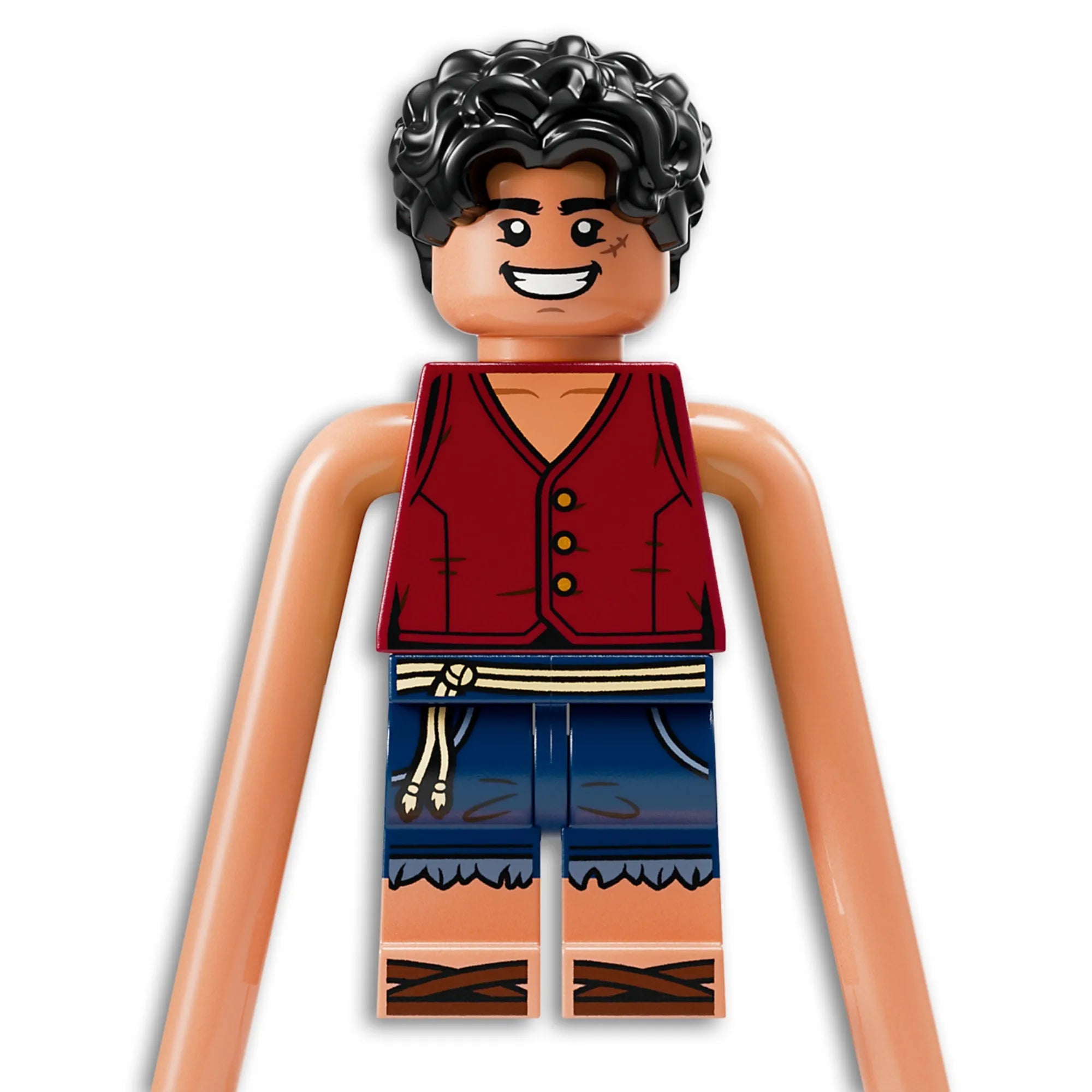 One Piece - Batalha no Parque Arlong