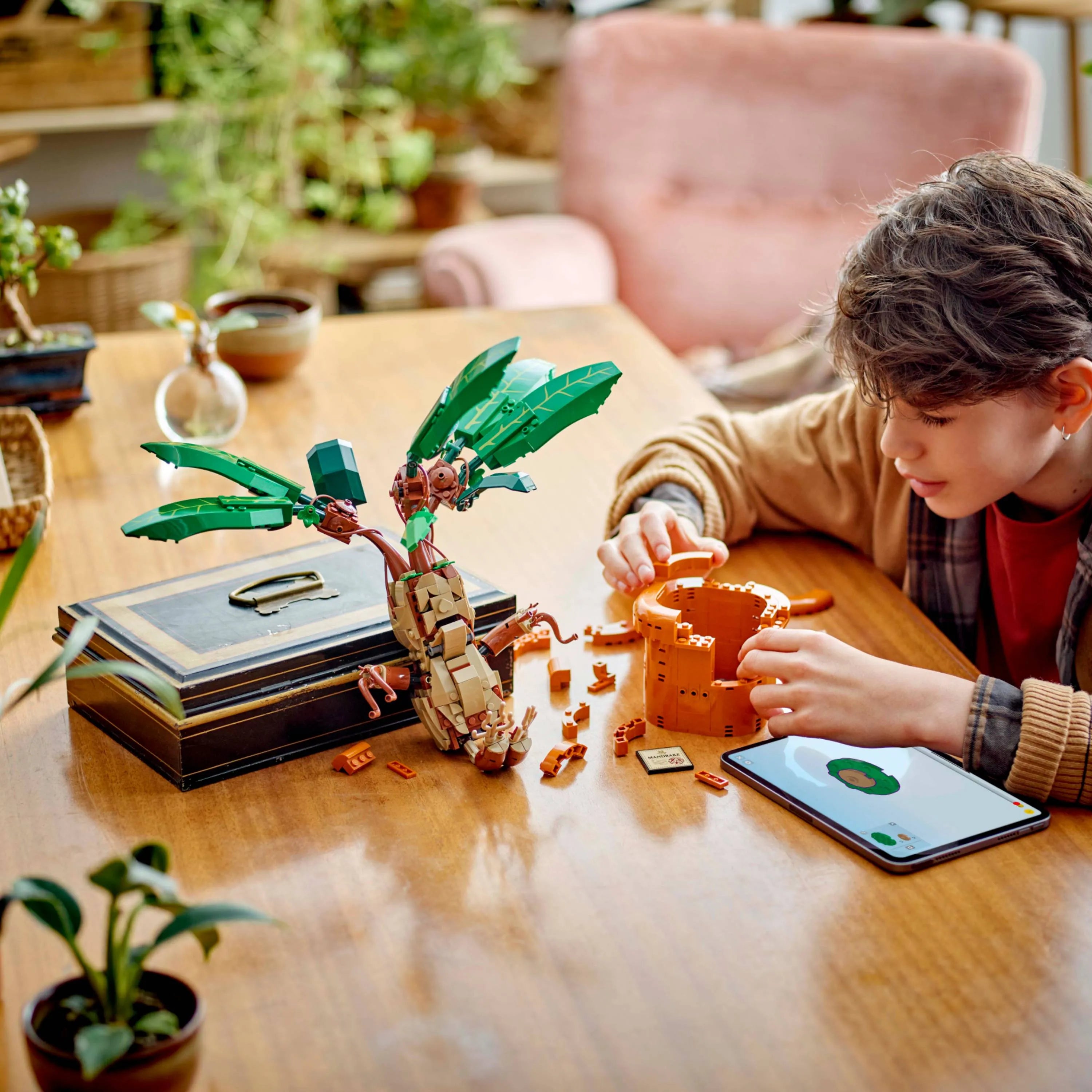 Harry Potter™ - Mandrágora